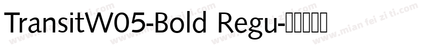 TransitW05-Bold Regu字体转换